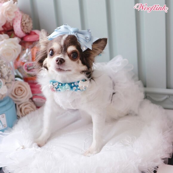 Spring Bride by Wooflink - NEW Size 3 - Picture 4 of 9